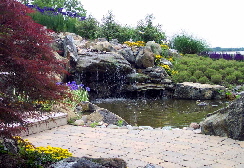 Pondless waterfall for rain water harvesting in Maryland