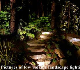Low voltage lighting stone steps