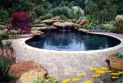 Swimming Pool in Maryland- natural waterfalls and dive rock