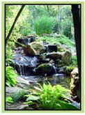 Pictures of ponds & natural waterfalls