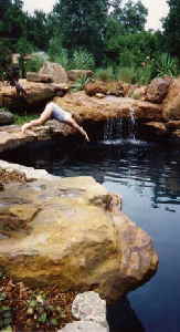 Swimming Pool dive Rock