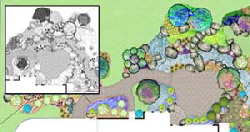 Maryland Landscape Design Color