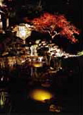 low voltage lighting , outdoor garden lighting