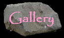 Landscaping Pictures in Maryland