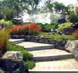 Landscaping information picture