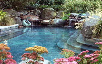 custom inground swimming pool eastern shore md- waterfalls, stone