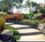 Landscaping information picture
