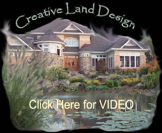 cld home page VIDEO PIC copy