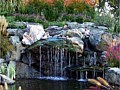 <b>Natural Pond Waterfalls </b>