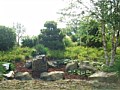 <b>Japanese Rock Garden</b><br>Picture of natural japanese rock garden in Eastern Shore Maryland