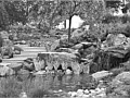 <b>Natural Living Wall Waterfalll</b><br>Picture of natural pond waterfall rock garden in Eastern Shore Maryland