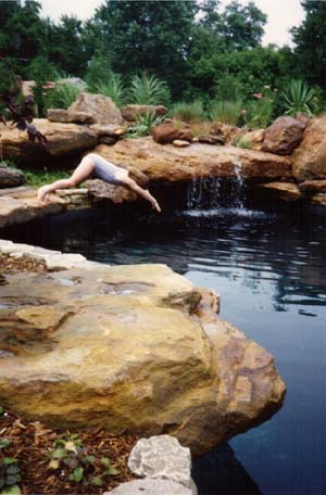 Swimming Pool dive Rock