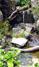 Natural waterfall in Annapolis Maryland
