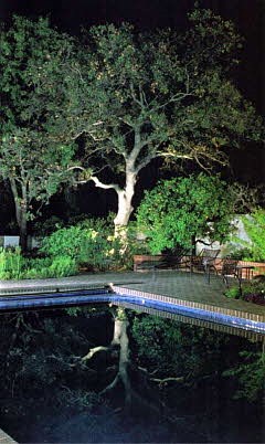 Low Voltage Lighting