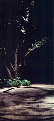 Low Voltage Lighting