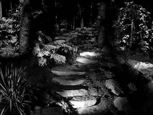 Low Voltage Lighting