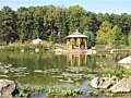 <b>Clay Bottom Ponds</b><br>Landscaping for the ducks!