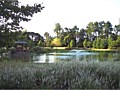 <b>Clay pond AFTER</b>