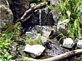 <b>Pondless Waterfalls</b>