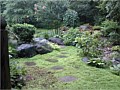 <b>More rockscaping in Annapolis Md</b><br>Inviting....Where does it lead? No Mulch!