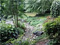 <b>Dry riverbed through Living Retaining Wall&trade;</b><br>Turned an ugly ditch into a more then desirable focal point!