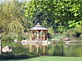 <b>Natural pond gazebo</b><br>Main irrigation pond for rain water harvesting
