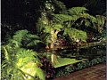 <b>swimming pool landscape lighting</b><br>pond landscape lighting