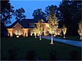 <b>uplighting along driveway</b><br>highlighting driveway uplights